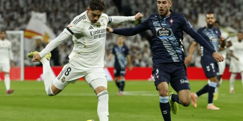 Những điều cần biết về bongdalu