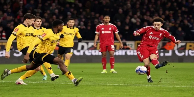 Tổng quan trang web tỷ lệ kèo